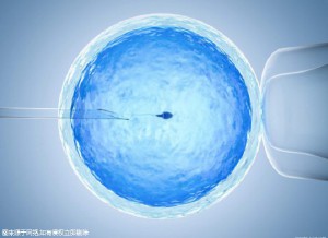 胚胎实验室