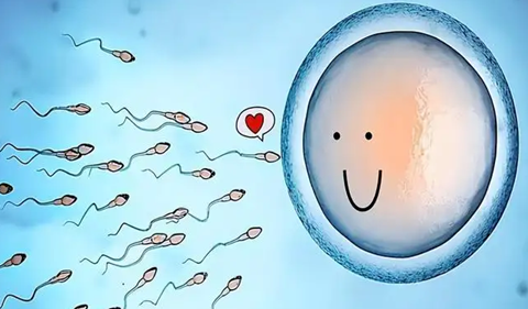 液氮存储